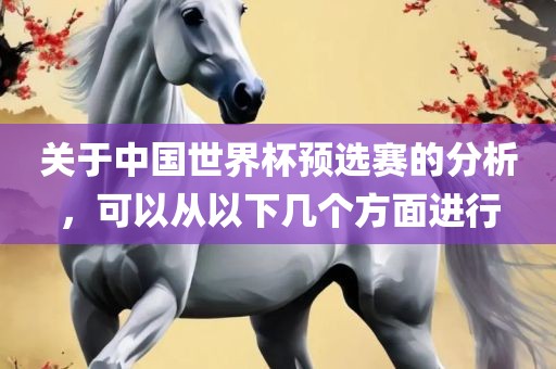 关于中国世界杯预选赛的分析，可以从以下几个方面进行