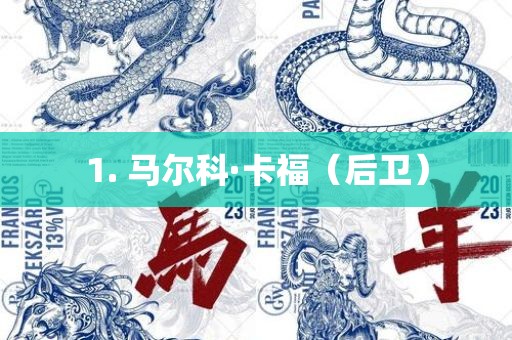 1. 马尔科·卡福（后卫）