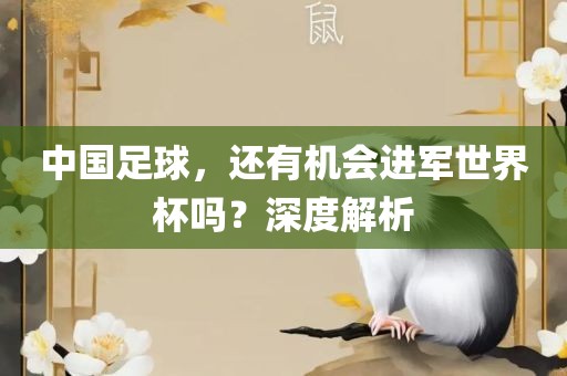 中国足球，还有机会进军世界杯吗？深度解析