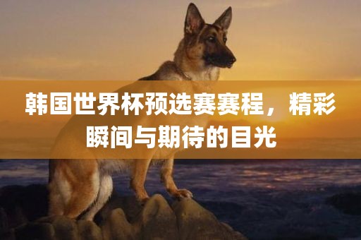 韩国世界杯预选赛赛程，精彩瞬间与期待的目光