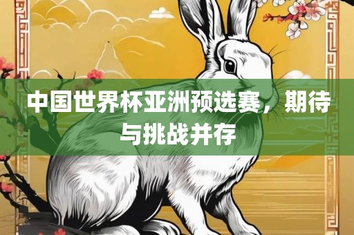 中国世界杯亚洲预选赛，期待与挑战并存
