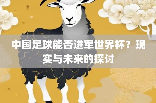 中国足球能否进军世界杯？现实与未来的探讨
