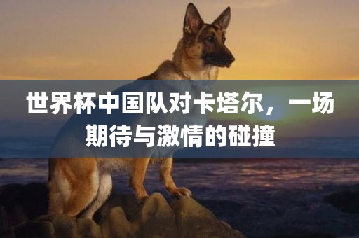 世界杯中国队对卡塔尔，一场期待与激情的碰撞