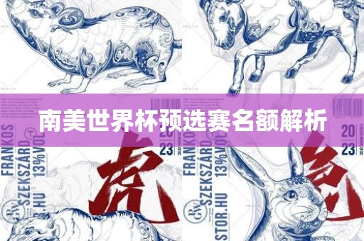 南美世界杯预选赛名额解析