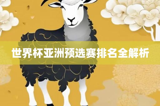 世界杯亚洲预选赛排名全解析