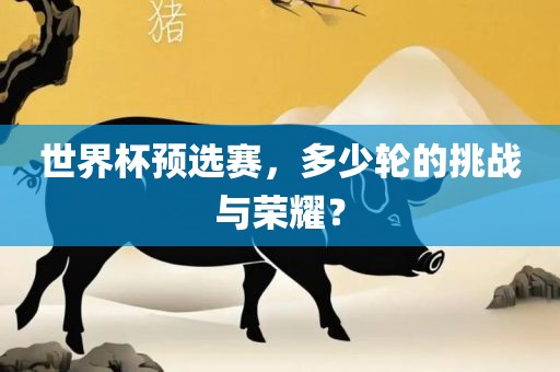 世界杯预选赛，多少轮的挑战与荣耀？