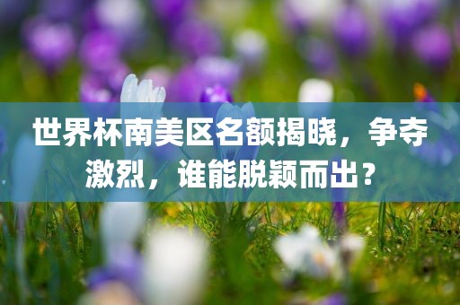 世界杯南美区名额揭晓，争夺激烈，谁能脱颖而出？