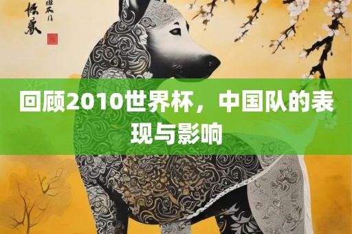 回顾2010世界杯，中国队的表现与影响