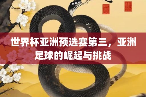 世界杯亚洲预选赛第三，亚洲足球的崛起与挑战