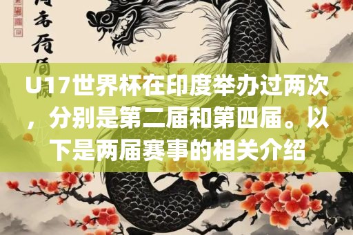 U17世界杯在印度举办过两次，分别是第二届和第四届。以下是两届赛事的相关介绍