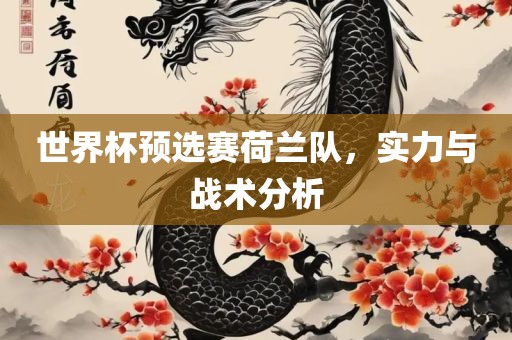 世界杯预选赛荷兰队，实力与战术分析