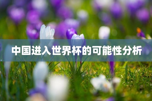 中国进入世界杯的可能性分析