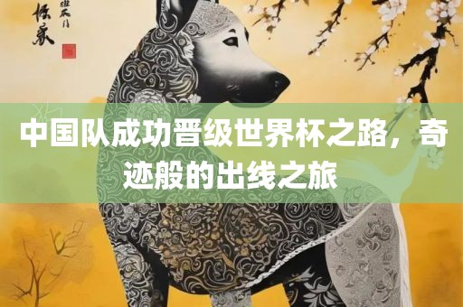 中国队成功晋级世界杯之路，奇迹般的出线之旅