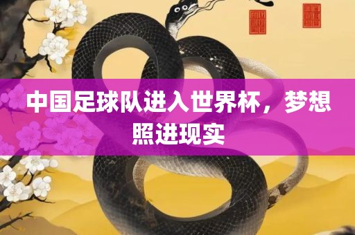 中国足球队进入世界杯，梦想照进现实