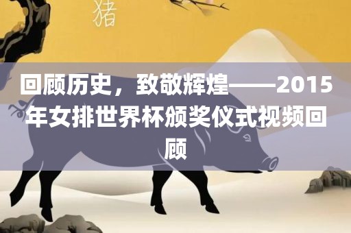 回顾历史，致敬辉煌——2015年女排世界杯颁奖仪式视频回顾