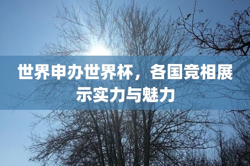 世界申办世界杯，各国竞相展示实力与魅力