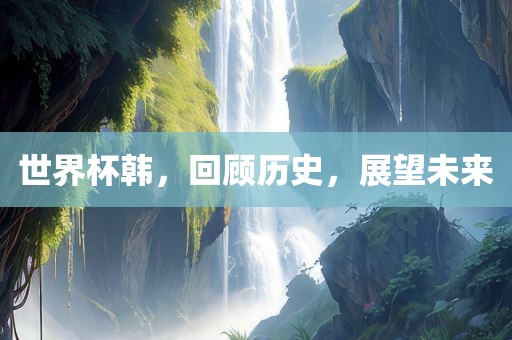 世界杯韩，回顾历史，展望未来
