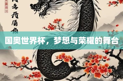 国奥世界杯，梦想与荣耀的舞台