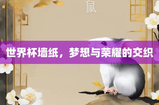 世界杯墙纸，梦想与荣耀的交织