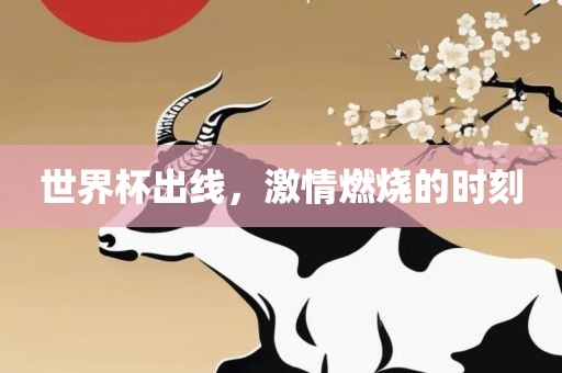 世界杯出线，激情燃烧的时刻