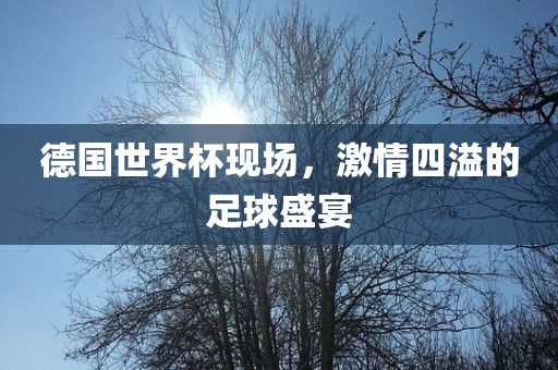 德国世界杯现场，激情四溢的足球盛宴