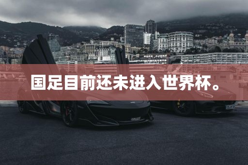 国足目前还未进入世界杯。