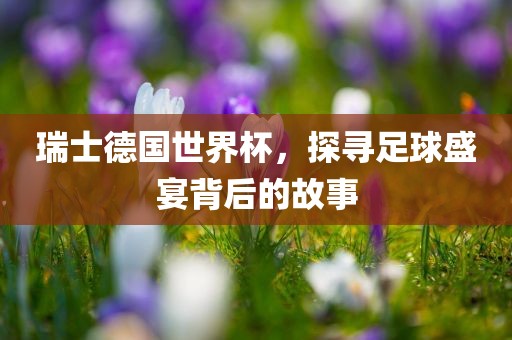 瑞士德国世界杯，探寻足球盛宴背后的故事