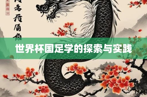 世界杯国足学的探索与实践