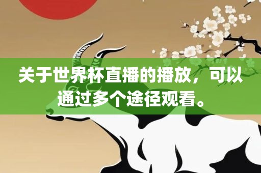 关于世界杯直播的播放，可以通过多个途径观看。