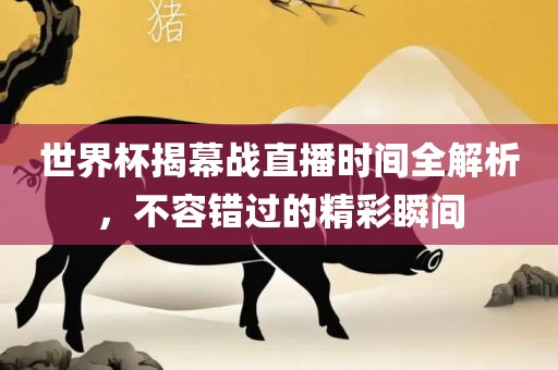 世界杯揭幕战直播时间全解析，不容错过的精彩瞬间
