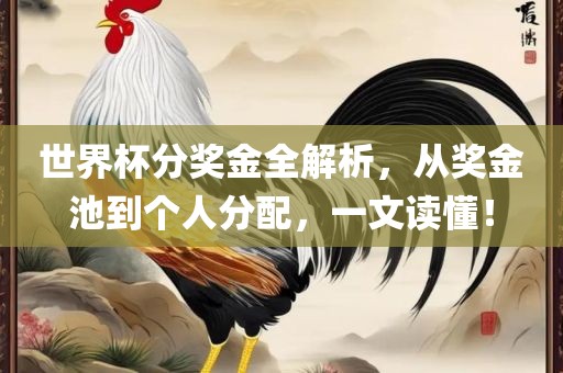 世界杯分奖金全解析，从奖金池到个人分配，一文读懂！