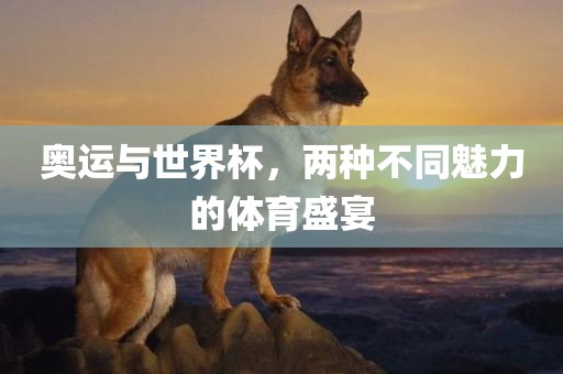 奥运与世界杯，两种不同魅力的体育盛宴