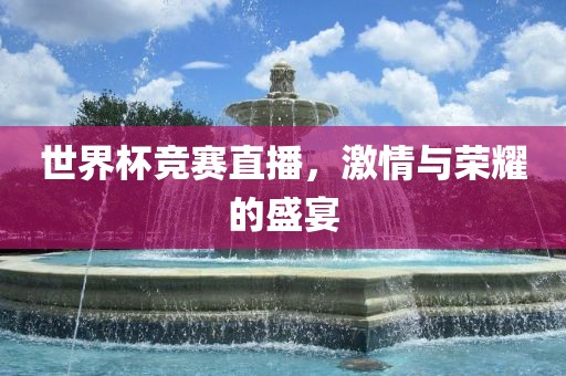 世界杯竞赛直播，激情与荣耀的盛宴