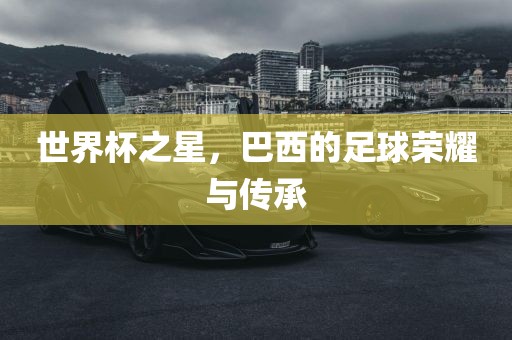 世界杯之星，巴西的足球荣耀与传承