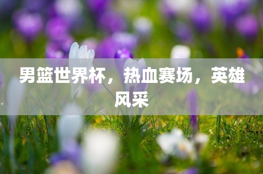 男篮世界杯，热血赛场，英雄风采
