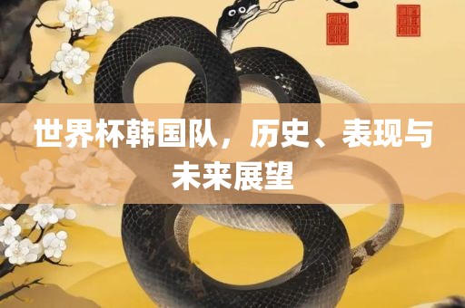 世界杯韩国队，历史、表现与未来展望