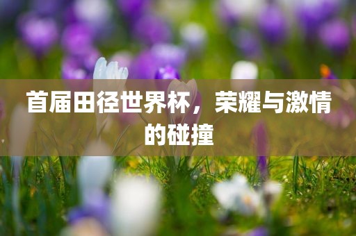 首届田径世界杯，荣耀与激情的碰撞