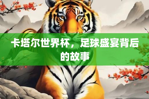 卡塔尔世界杯，足球盛宴背后的故事