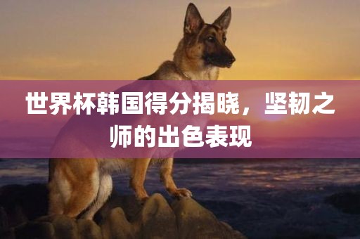 世界杯韩国得分揭晓，坚韧之师的出色表现