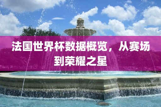法国世界杯数据概览，从赛场到荣耀之星