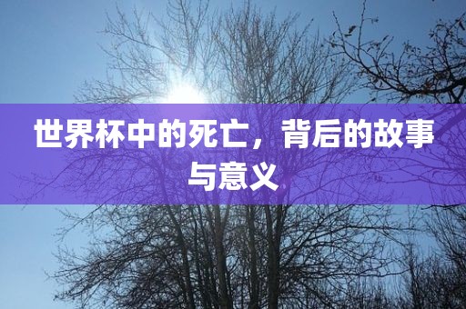 世界杯中的死亡，背后的故事与意义