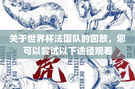 关于世界杯法国队的回放，您可以尝试以下途径观看