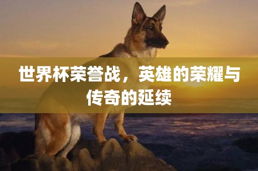 世界杯荣誉战，英雄的荣耀与传奇的延续