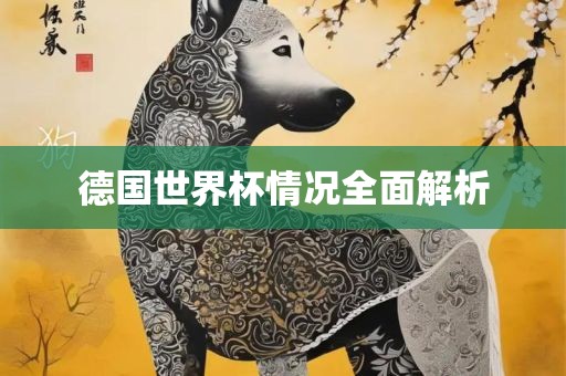 德国世界杯情况全面解析