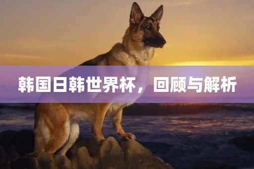 韩国日韩世界杯，回顾与解析