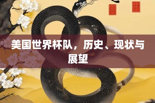美国世界杯队，历史、现状与展望