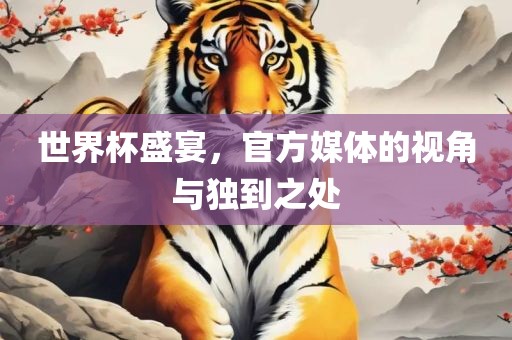 世界杯盛宴，官方媒体的视角与独到之处