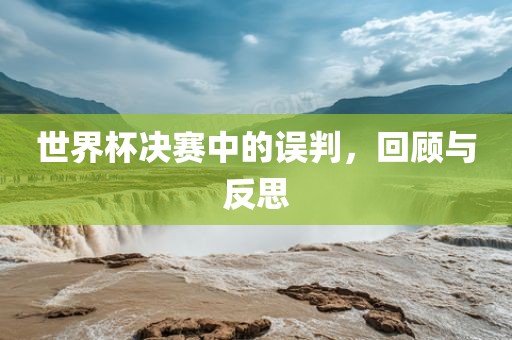 世界杯决赛中的误判，回顾与反思