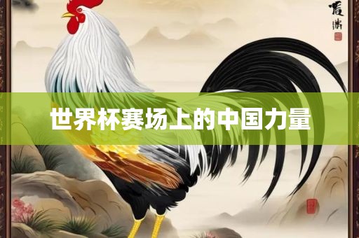 世界杯赛场上的中国力量