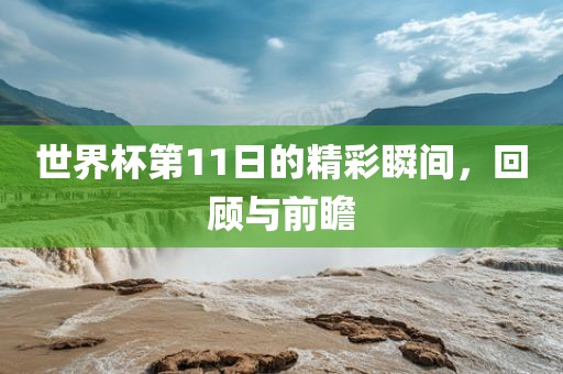 世界杯第11日的精彩瞬间，回顾与前瞻